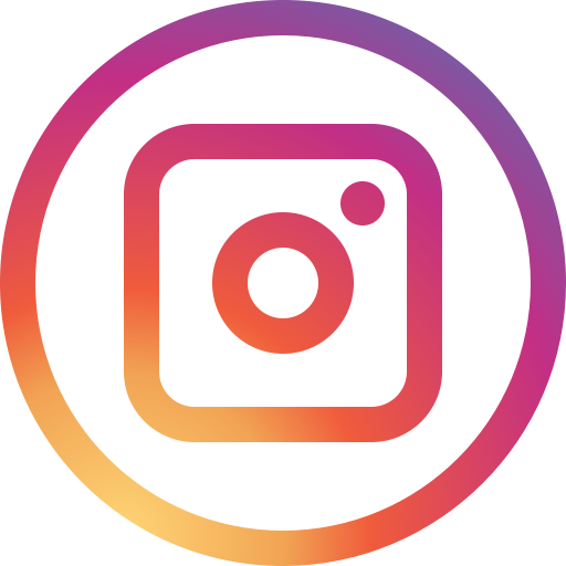 Logo INS